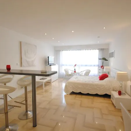 Gray D Albion Thi235 Appartement Cannes