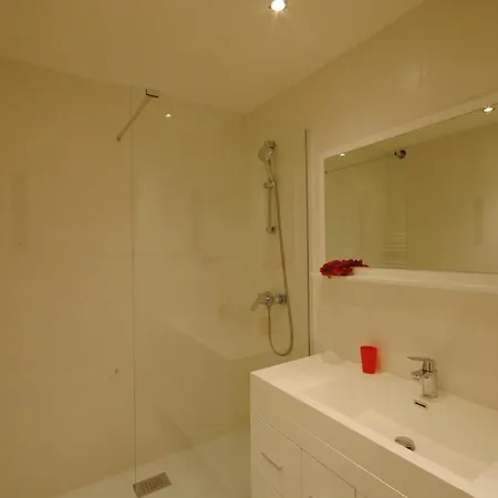 Gray D Albion Thi235 *