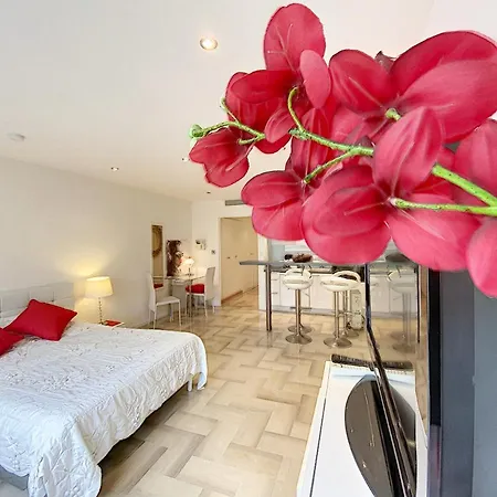 Apartament Gray D Albion Thi235