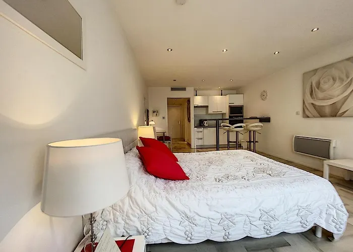 Apartment Gray D Albion Thi235 Cannes