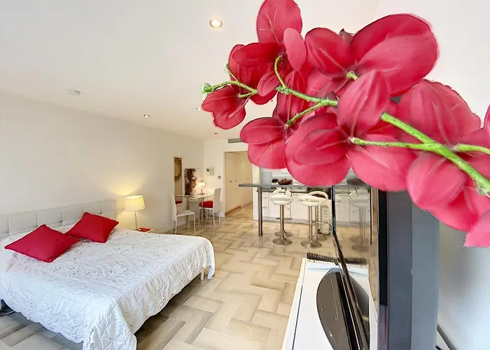 Διαμέρισμα Gray D Albion Thi235